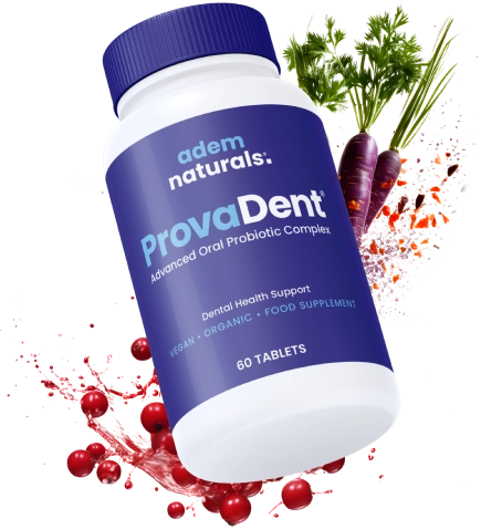 provadent provadent